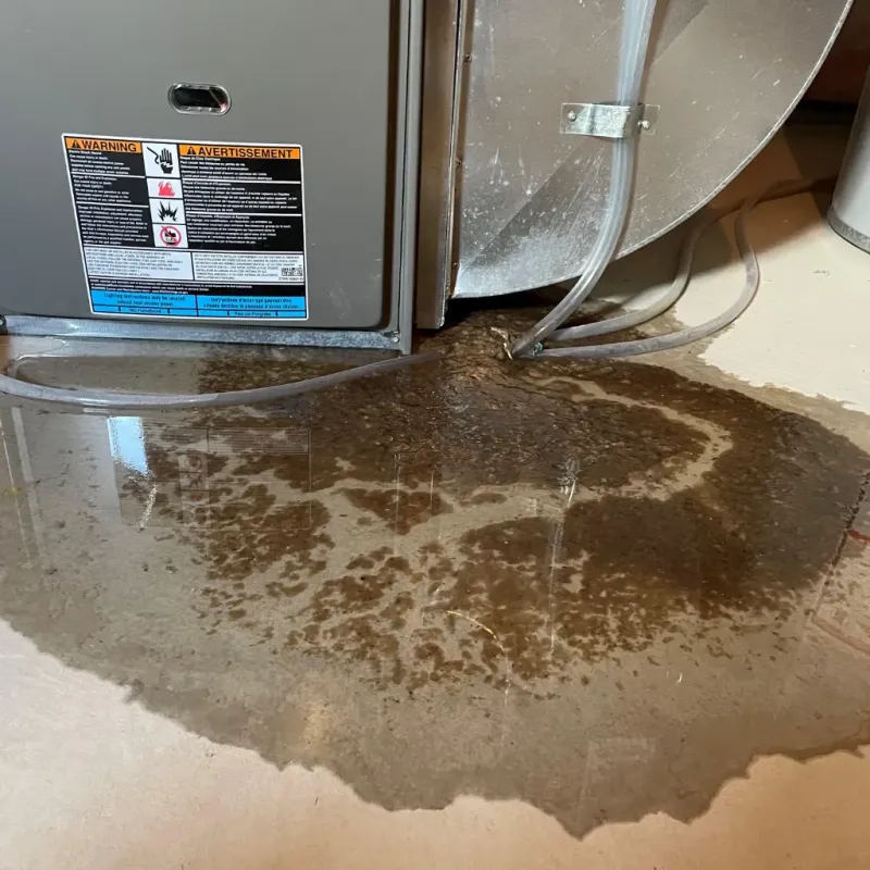 Appliance Leak Cleanup in Mountain Home, NC